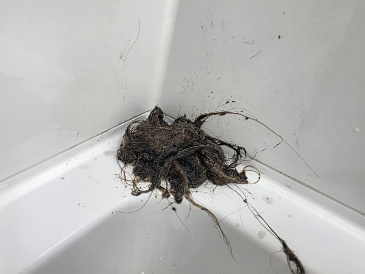 Aus dem Abfluss gezogenes Haarknäuel